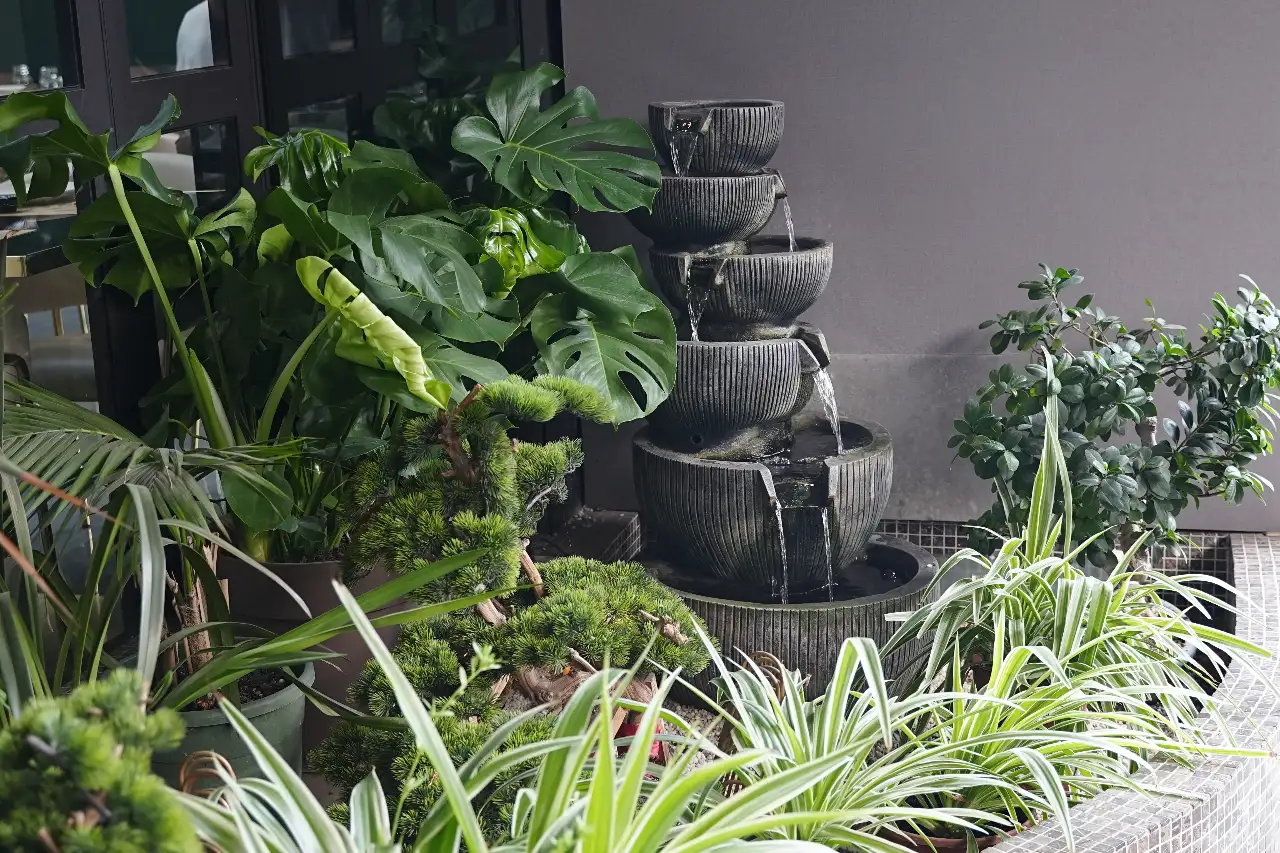 PUYUMA Restaurant Background Paesaggi Atmosfera fresca e naturaleo