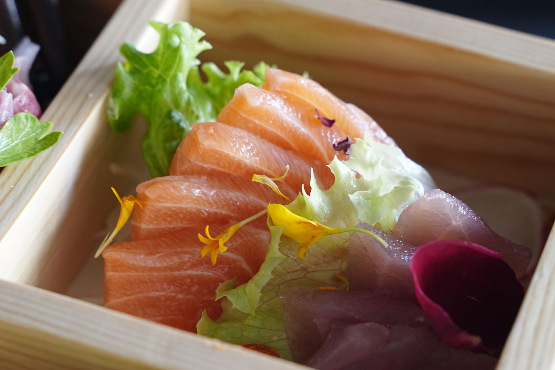 Sushi Dish freschi sashimi di salmone freschi sashimi di tonno